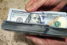 El dólar volvió a subir en el cierre de la semana. Foto: ALF PONCE MERCADO / MDZ