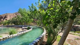 Fotos y videos: termasdecacheuta y @federaciontermas Fotos y videos: termasdecacheuta y @federaciontermas