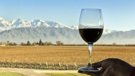 El vino argentino celebra.