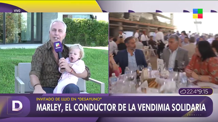 Marley, una de las figuras que conducirá la Vendimia Solidaria. Marley, una de las figuras que conducirá la Vendimia Solidaria.