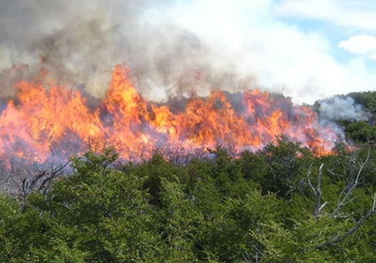 Ya lograron reducir en un 40% los focos de incendios Foto: Web