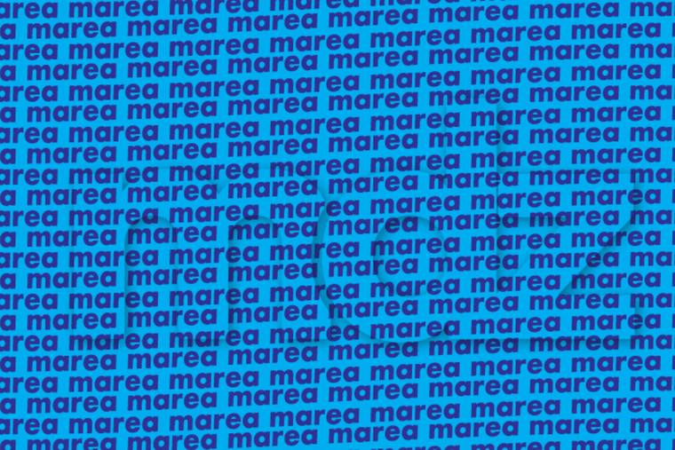 ACERTIJO VISUAL ACERTIJO VISUAL, RETO VISUAL, PALABRA Foto: MDZ ONLINE