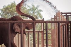 Foto: Fundación Franz Weber