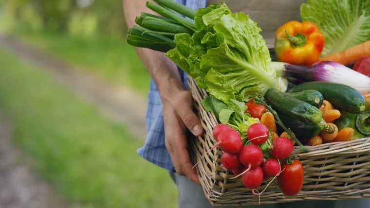 Las verduras forman parte fundamental en una alimentación saludable Foto: Shutterstock