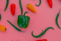 El chile habanero por lo general mide entre 2 a 6 cm. Foto: Pexels