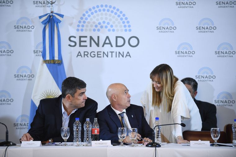 Anabel Fernández Sagasti discutió con el puntano Bartolomé Abdala Foto: X @SenadoArgentina