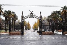 La nieve cubrió el llano de Mendoza durante la madrugada y la mañana del domingo.