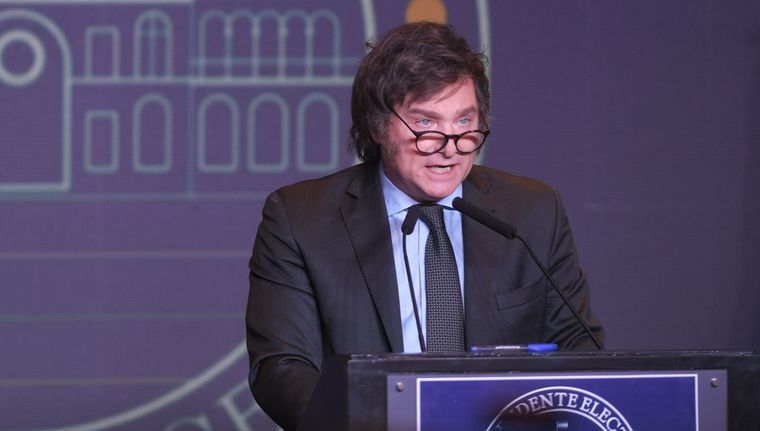 El presidente electo, Javier Milei, deberá comprometerse con el desarrollo de la educación Foto: Télam