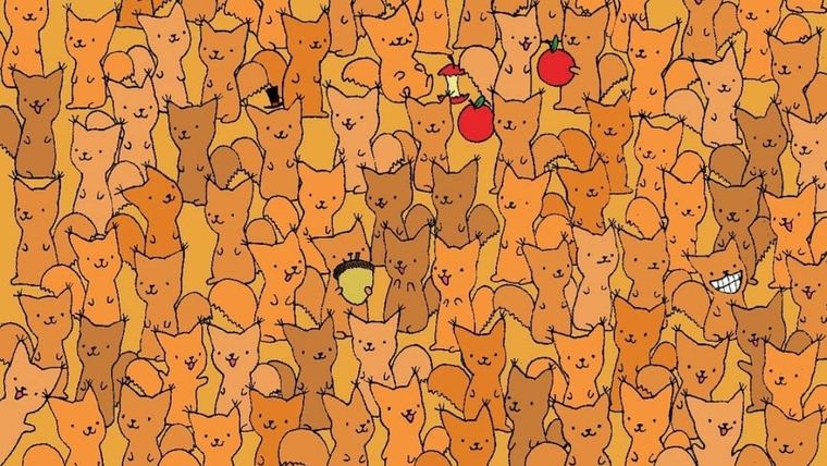 Acertijo visual, reto visual, ratón Pinterest Foto: Pinterest