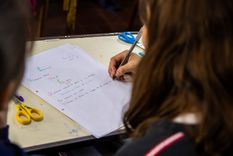 Los niños y adolescentes deben estar escolarizados en establecimientos oficiales reconocidos por el Ministerio de Educación. Foto: Santiago Tagua/MDZ