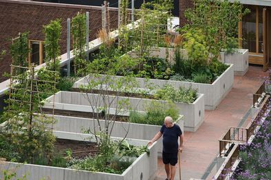 MDZol | https://www.bbc.com/mundo/articles/cx204x81gqpo