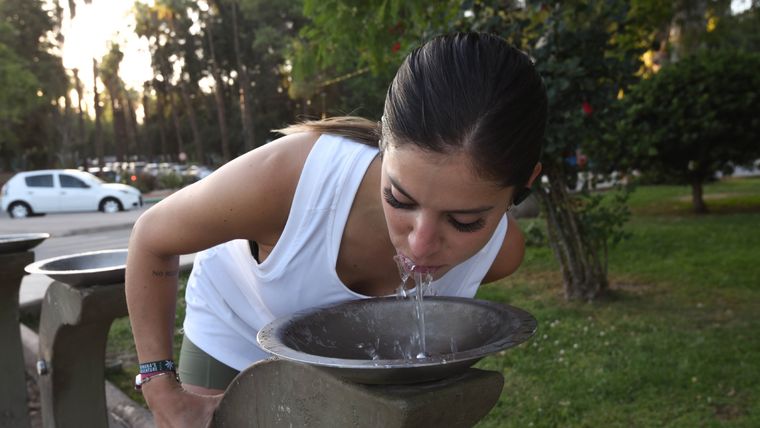 Las temperaturas máximas superarán los 36ºC durante tres días. Foto: Marcos Garcia/MDZ