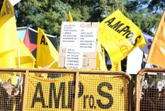 Foto: Santiago Tagua/MDZ