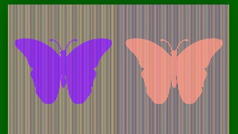 ACERTIJO VISUAL ACERTIJO VISUAL, RETO VISUAL, MARIPOSA Foto: ARCHIVO