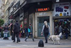 En medio de la incertidumbre electoral y la sensación de atraso cambiario, en julio más argentinos se lanzaron a comprar dólares para ganarle a una futura devaluación, metiéndole presión a las reservas BCRA.&nbsp;