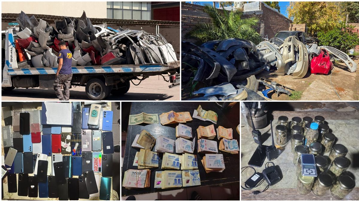 Megaoperativo en Mendoza: 28 allanamientos, 18 detenidos y secuestro de droga, armas y autopartes