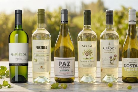 Diez ejemplares para celebrar el Sauvignon Blanc. Diez ejemplares para celebrar el Sauvignon Blanc.