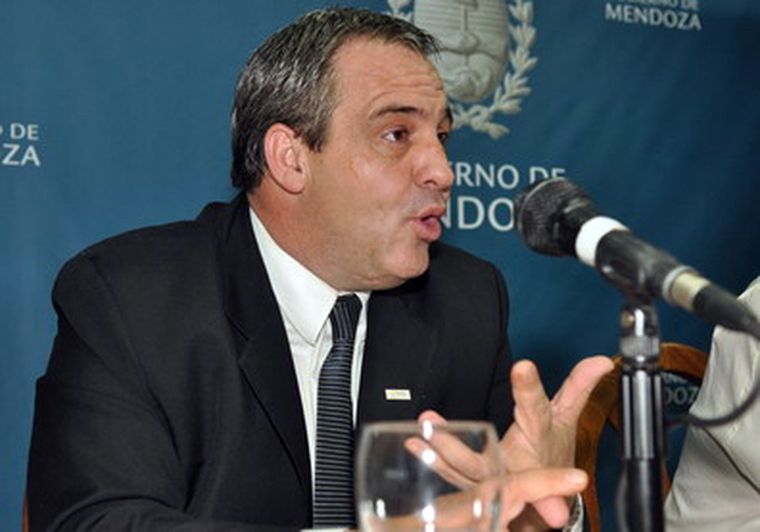 Böhm dijo que todo fue culpa de la empresa contratada. Foto: Nacho Gaffuri / MDZ