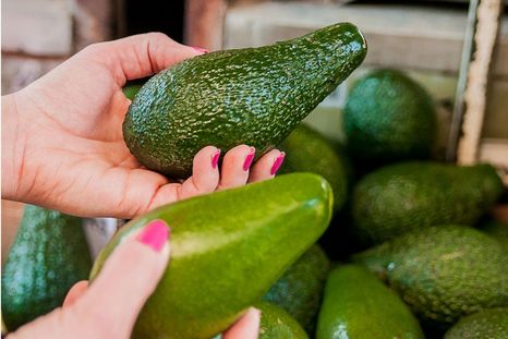Desde fertilizante a semillero: cómo usar la cáscara de palta. Foto: Hogarmanía Desde fertilizante a semillero: cómo usar la cáscara de palta. Foto: Hogarmanía