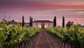 Viña Santa Rita, en Chile. Viña Santa Rita, en Chile.