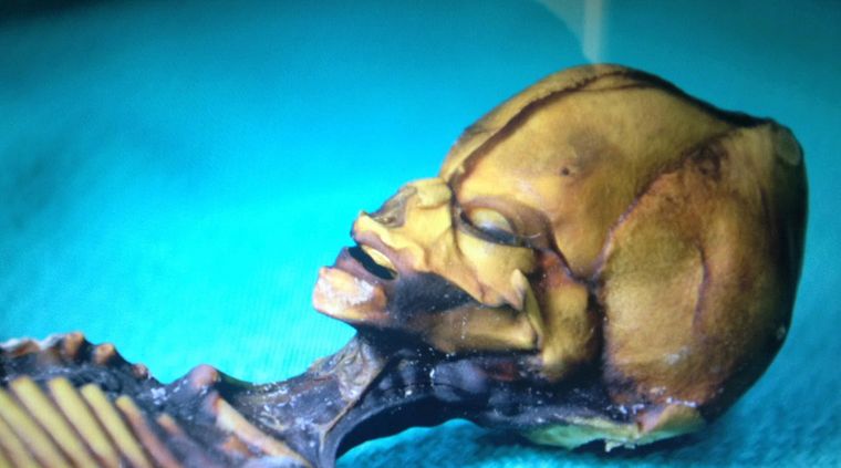 Foto: siriusdisclosure.com