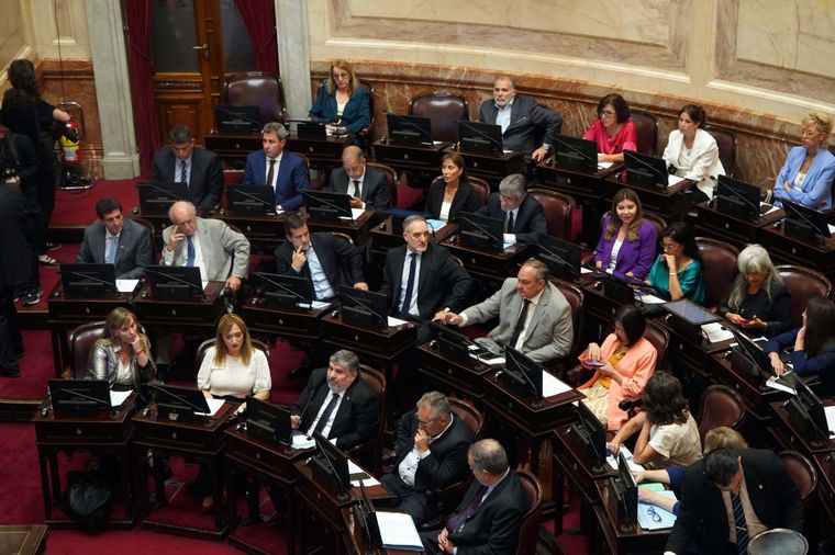 Cámara de Senadores de la Nación durante la votación que resulto en la aprobación en el aumento de las dietas Foto: Télam Cámara de Senadores de la Nación durante la votación que resulto en la aprobación en el aumento de las dietas Foto: Télam