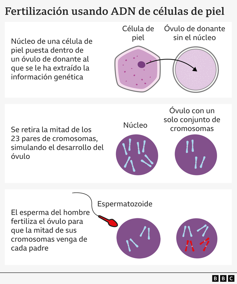 Una explicación de cómo funciona la nueva técnica.