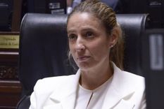 una diputada liberal cruzo a javier milei tras la polemica por la baja de impuestos una diputada liberal cruzo a javier milei tras la polemica por la baja de impuestos