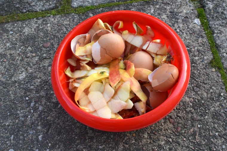 Bien enterradas, las cáscaras de manzana pueden favorecer el crecimiento saludable de las plantas. Foto: Shutterstock