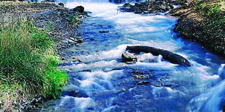 La pesca con mosca es considerada un arte.