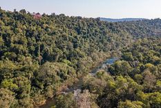 la onu reconocio el trabajo de restauracion de en el bosque atlantico de argentina, brasil y paraguay