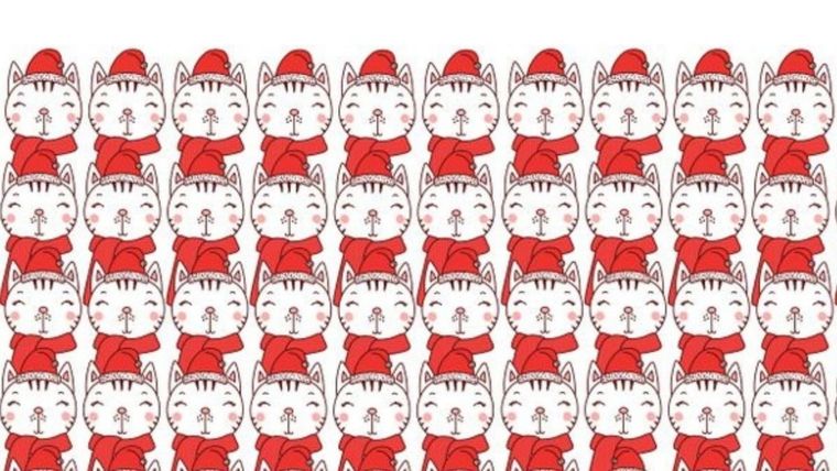 ACERTIJO VISUAL ACERTIJO VISUAL, RETO VISUAL, BÚHO Foto: ARCHIVO