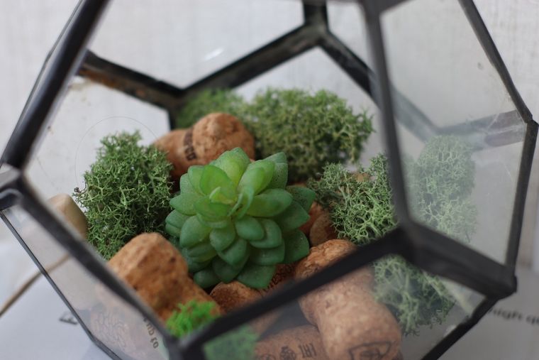 Diferentes usos del corcho en la jardinería. Foto: Shutterstock Diferentes usos del corcho en la jardinería. Foto: Shutterstock