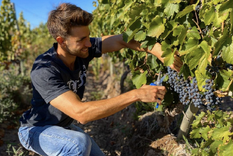 Fran Fraguas, en plena cosecha. Foto: Instagram Francisco Fraguas