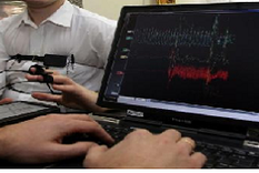 las cinco mentiras mas comunes en los c.v.