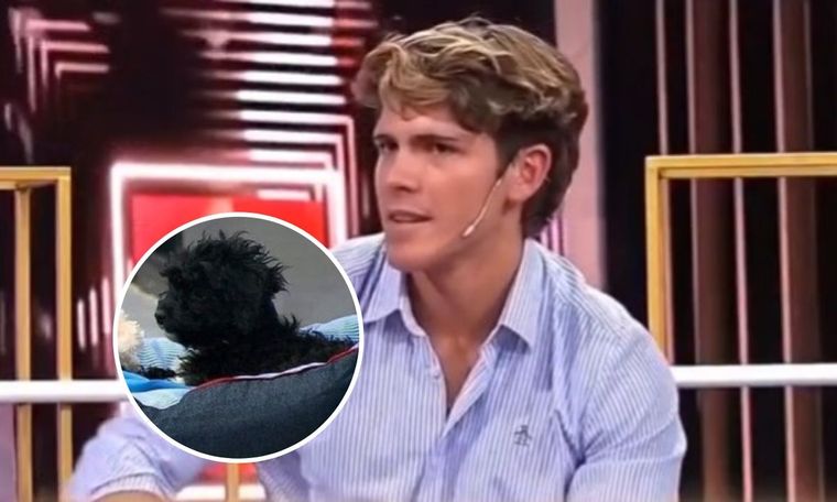Marcos contó qué pasará finalmente con Mora, la perrita que adoptó en Gran Hermano El ganador del reality aclaró la situación