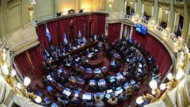 Aborto, la última encuesta