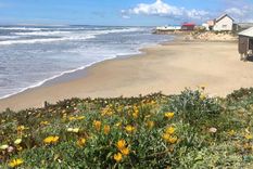 Amplias playas de arena fina y mucha vegetación son el plus de esta playa.