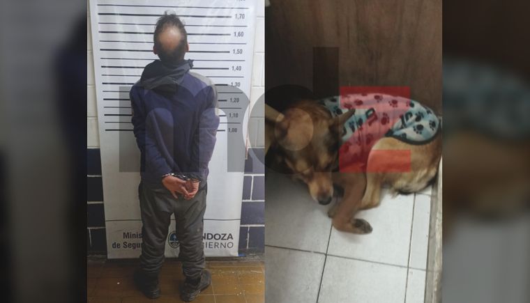 El hombre sospechado por el caso de maltrato animal y Fatiga, el can adoptado por los policías de la Comisaría 16° que sufrió la agresión.&nbsp;