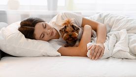 El motivo psicológico por el que tantas personas eligen dormir con sus mascotas El motivo psicológico por el que tantas personas eligen dormir con sus mascotas