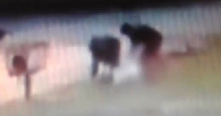 Foto: Captura de video crónica