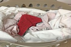 Un intruso puede terminar estropeando un lavado por completo. Foto: Tu hogar