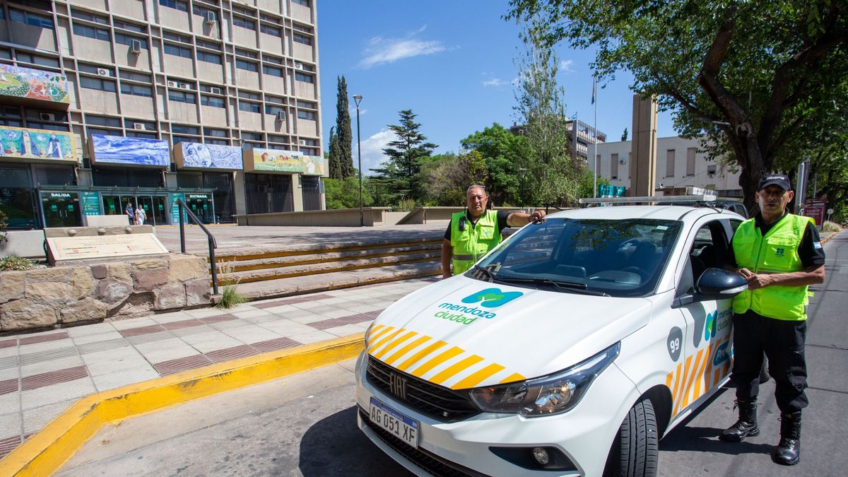 Robó un cartera en la Quinta Sección y fue detenido con un 