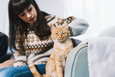 Los gatos suelen buscar a sus dueños con el correr del tiempo. Foto: Freepick