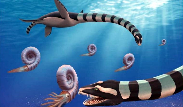 Dos individuos de Traskasaura sandrae cazan el amonita Pachydiscus en el Pacífico norte durante el Cretácico Superior. Foto: Dpa.