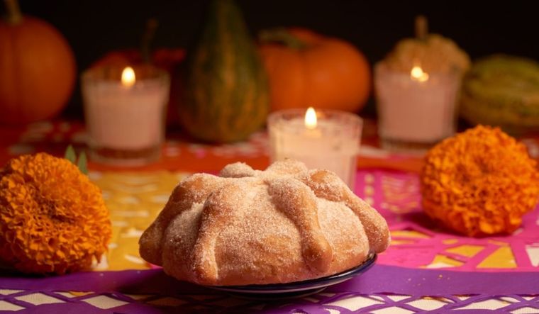 Todo sobre el pan de muerto: curiosidades y orígenes Foto: Shutterstock