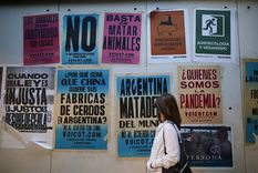 dia del veganismo: ¿somos los seres humanos un animal mas?