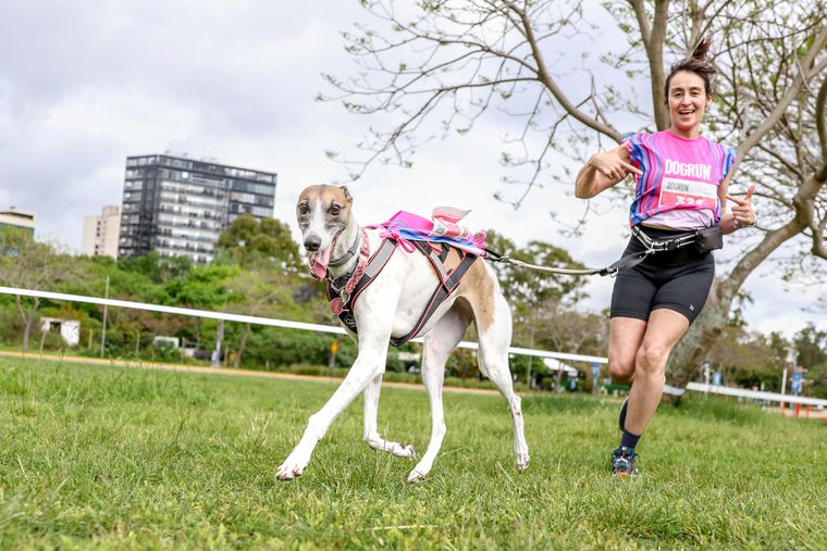 Se viene la 14ª edición de DOGRUN.