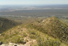 El Jarillal del Piedemonte, el área de la disputa Foto: Archivo MDZ. El Jarillal del Piedemonte, el área de la disputa Foto: Archivo MDZ.