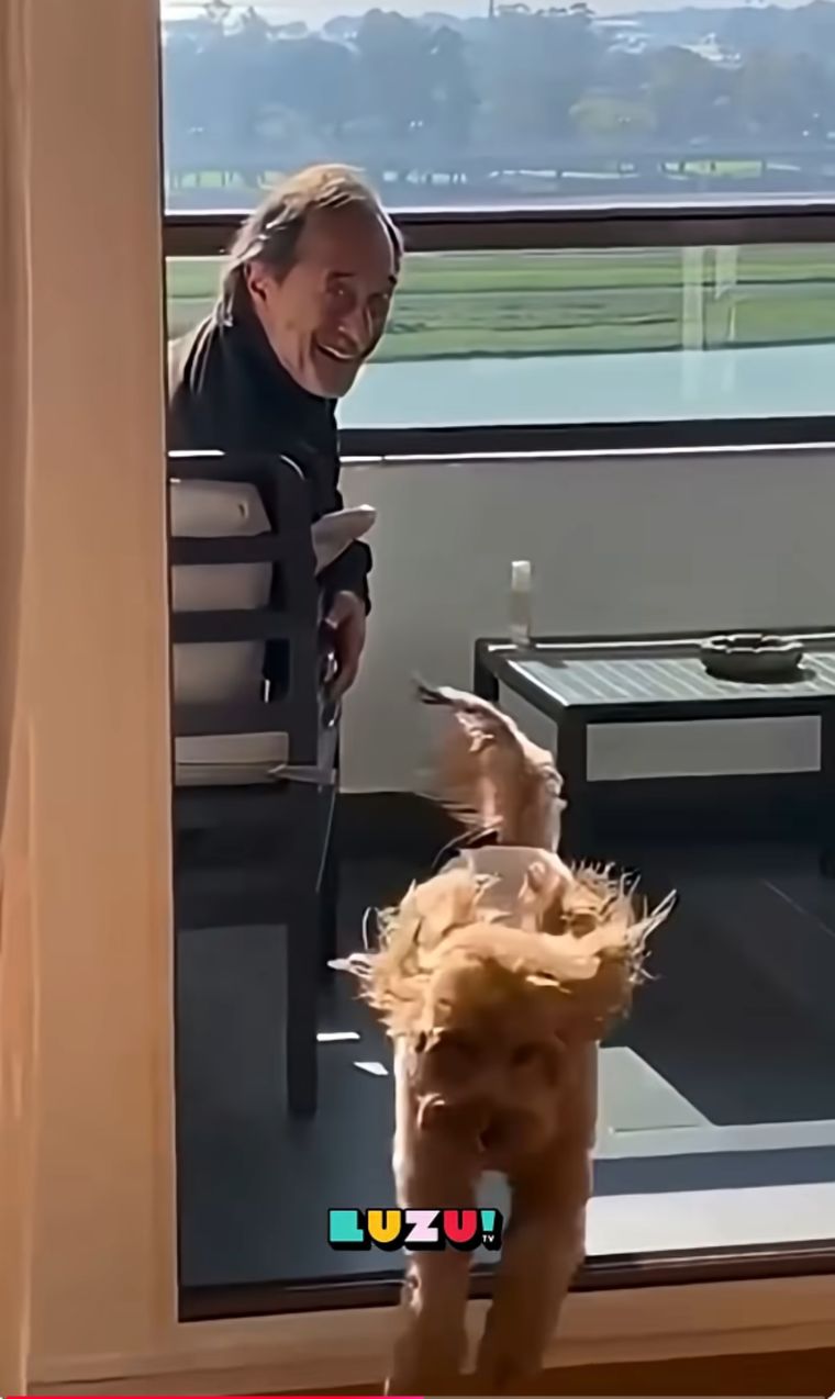 Gracias a la Gracias a la